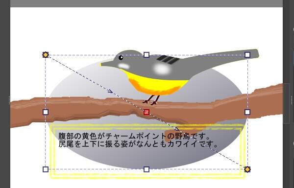 3. 白色から灰色へのグラデーションで塗られる
