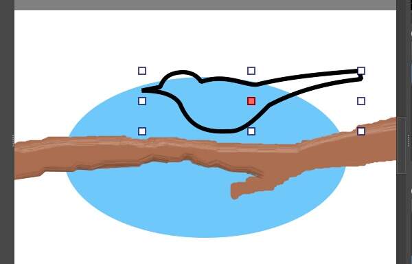 30. キセキレイの体のシェイプ(パス)を選択する