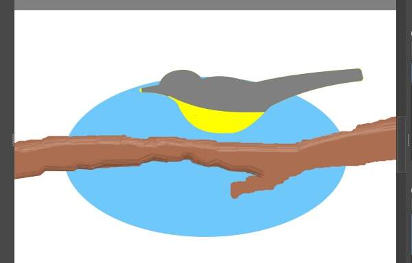 7. 胸と腹部が黄色になる