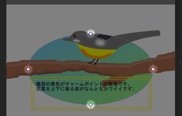 5. 菱形ハンドル(◇)が4つに増えている