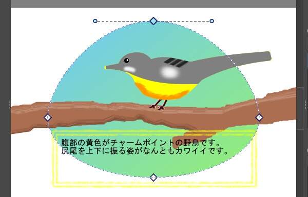 7. シェイプがおにぎり型になる